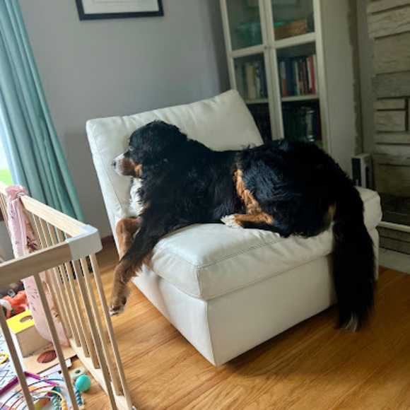 Meet your Posher, Spahh - Picture 1 of 1